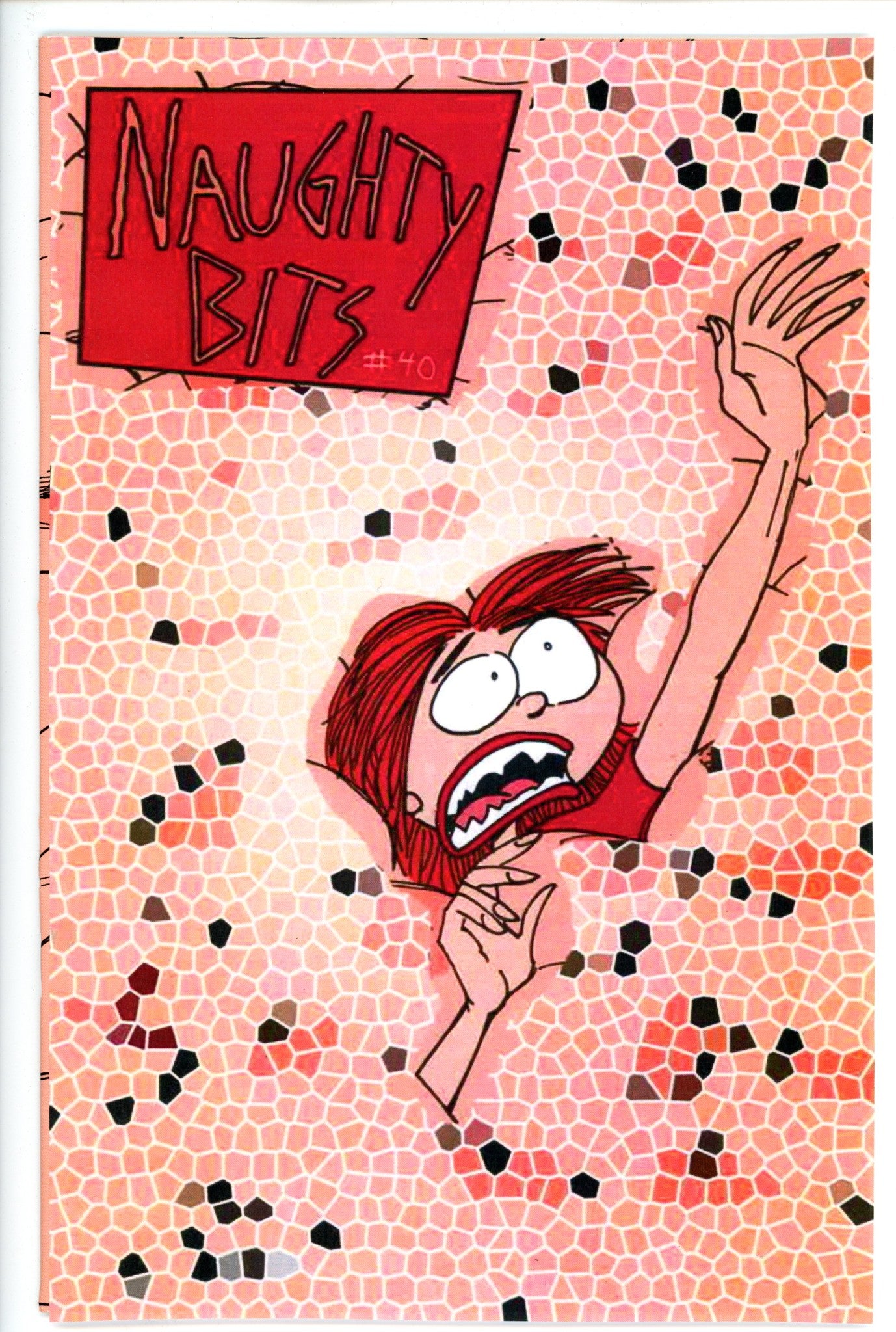 Naughty Bits 40 VF+