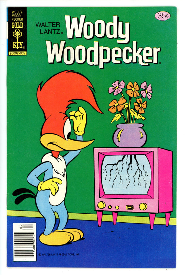 Walter Lantz Woody Woodpecker 170