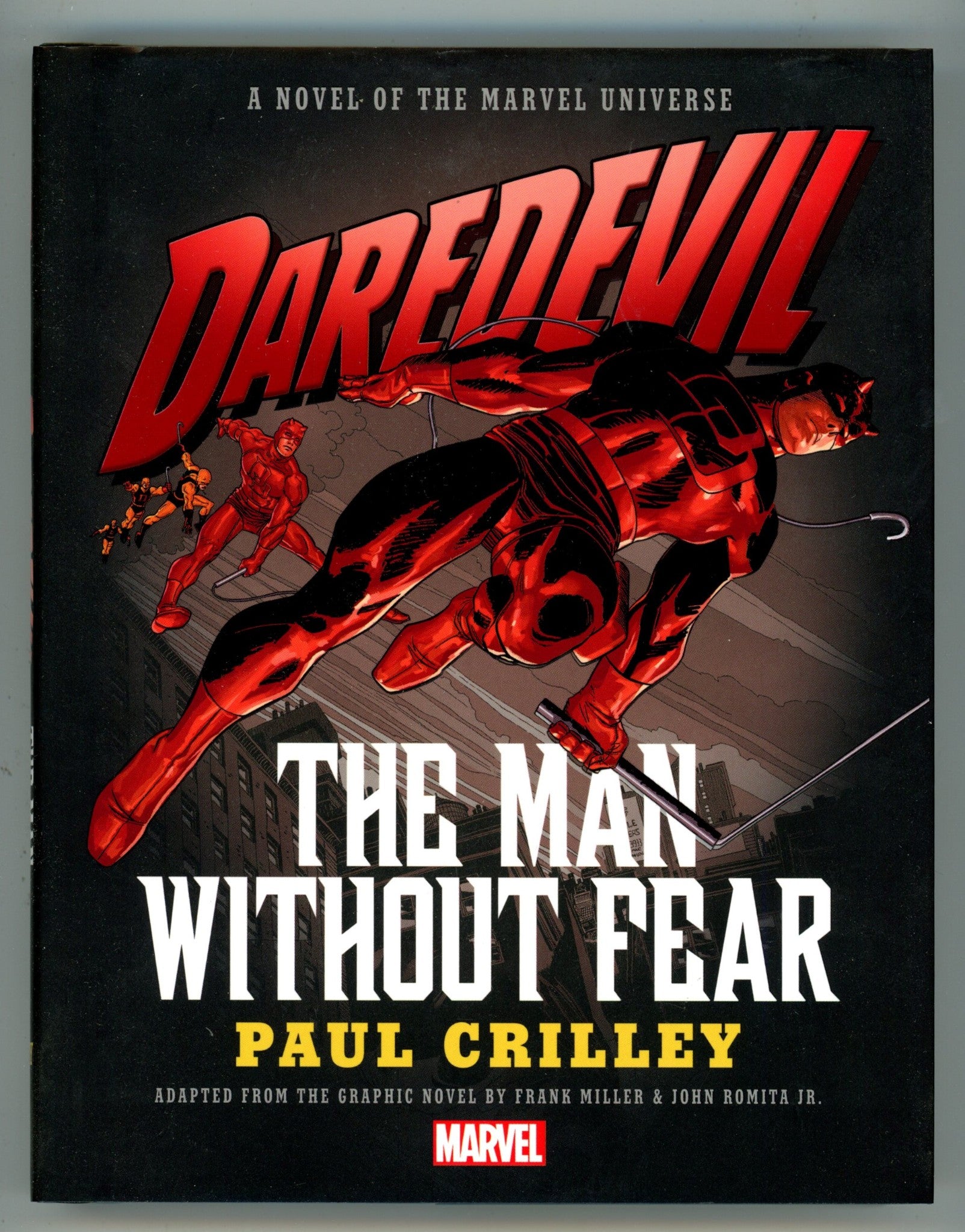 Daredevil The Man Without Fear HC Novel