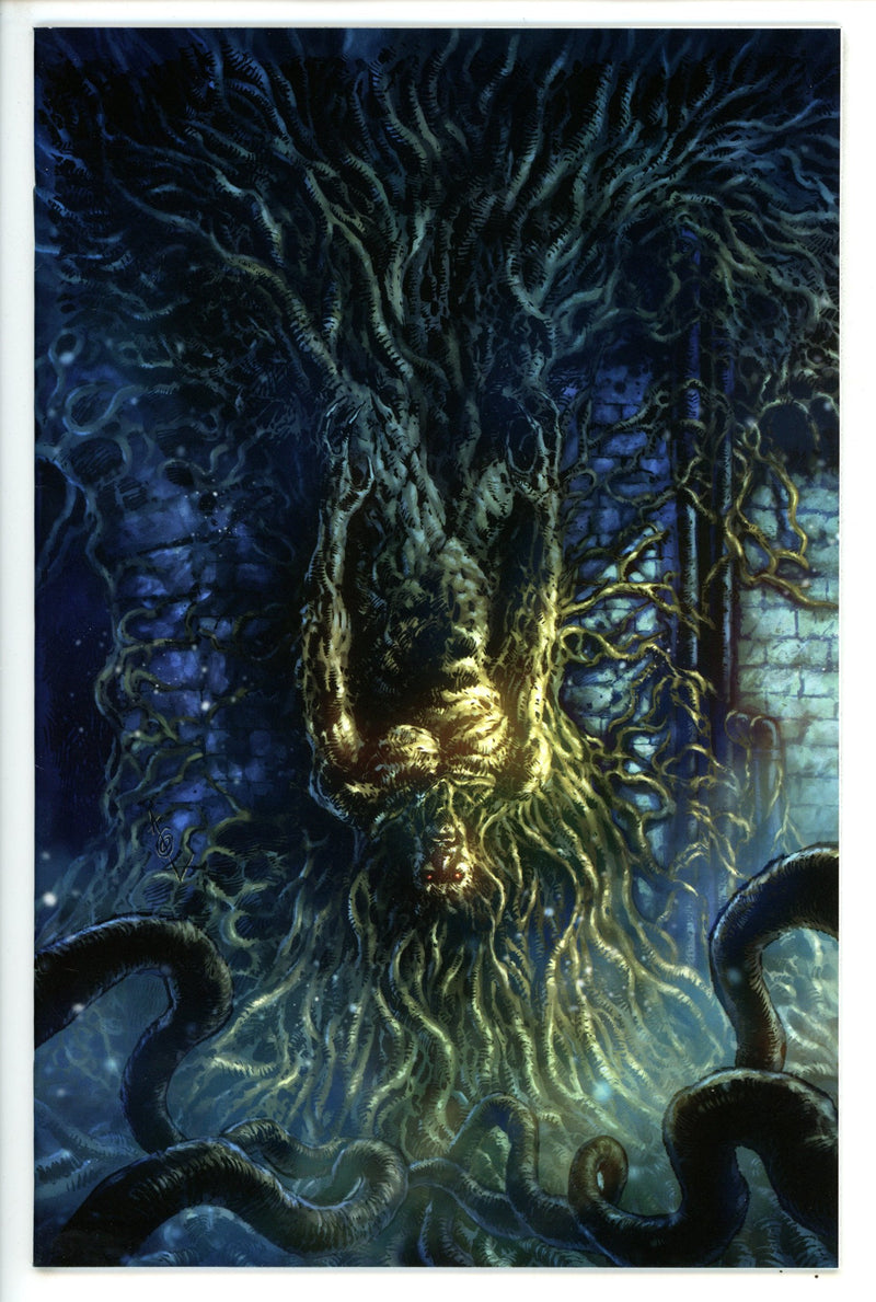 The Plot 1 Variant NM-