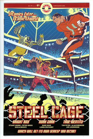 Steel Cage 1