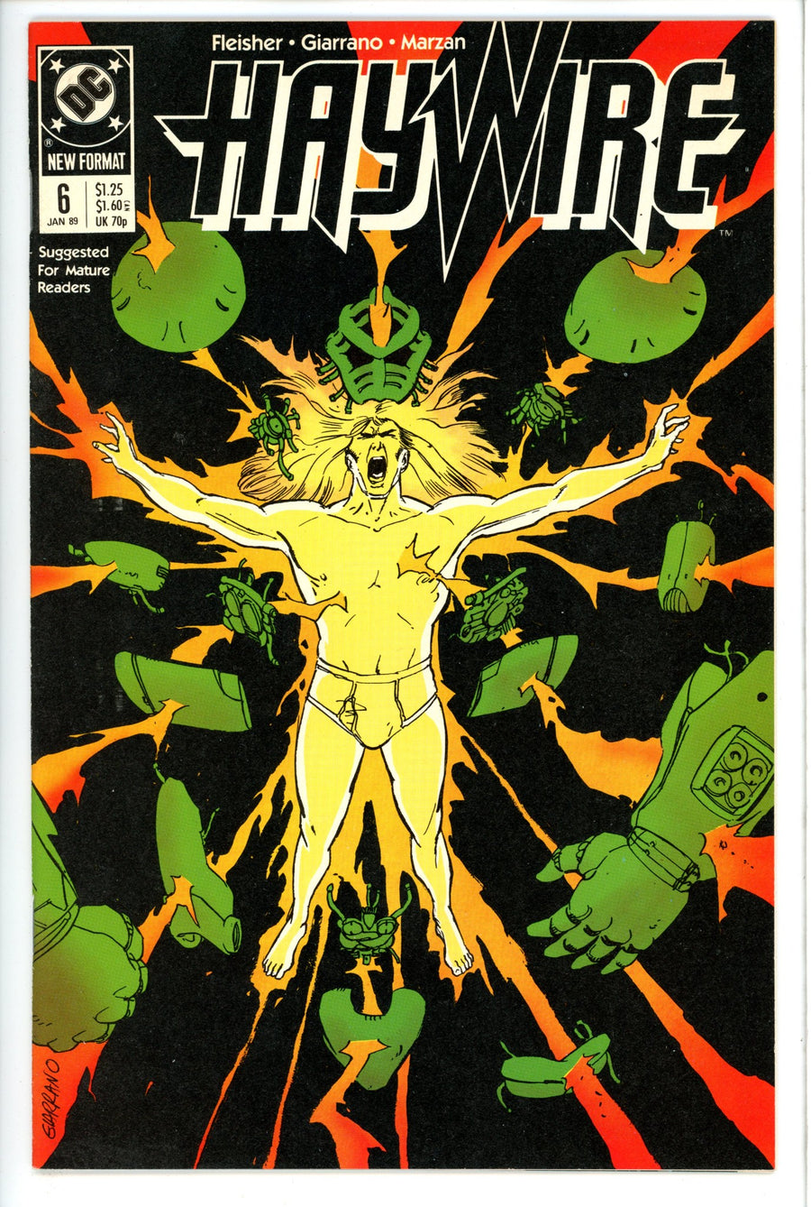 Haywire 6-DC-CaptCan Comics Inc