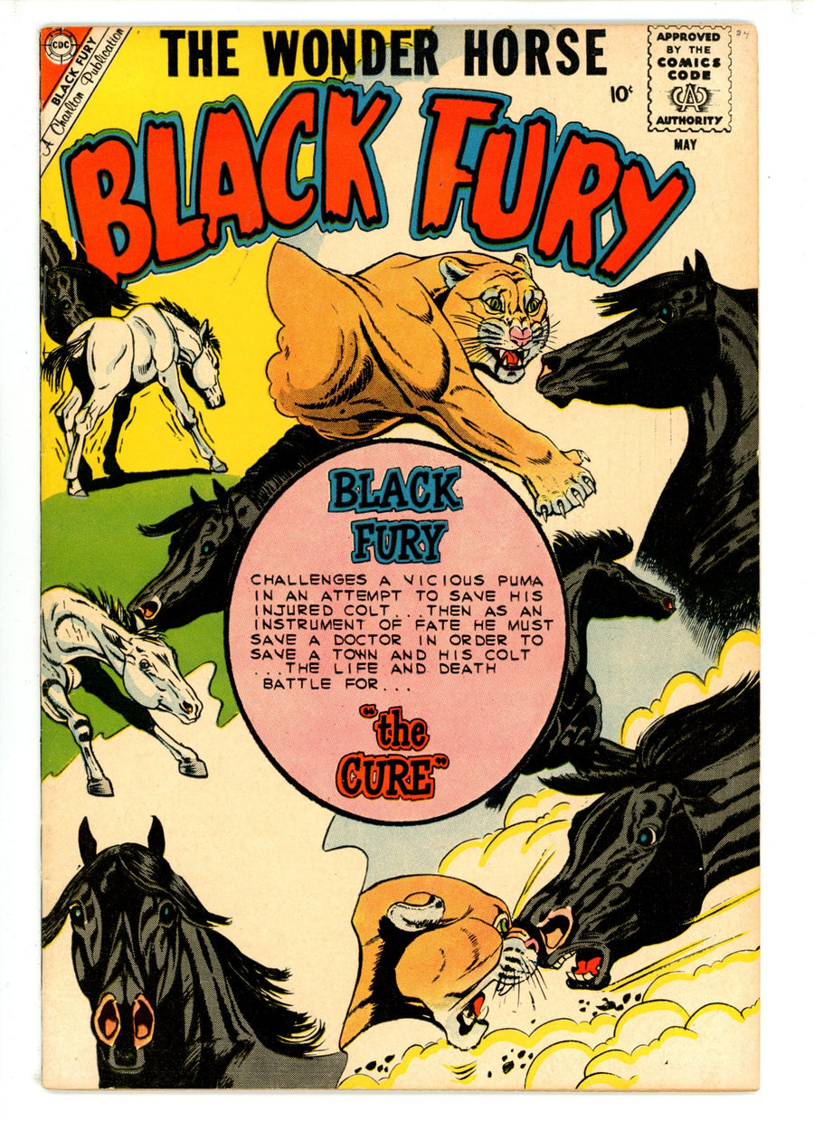Black Fury 24 FN- (1960)