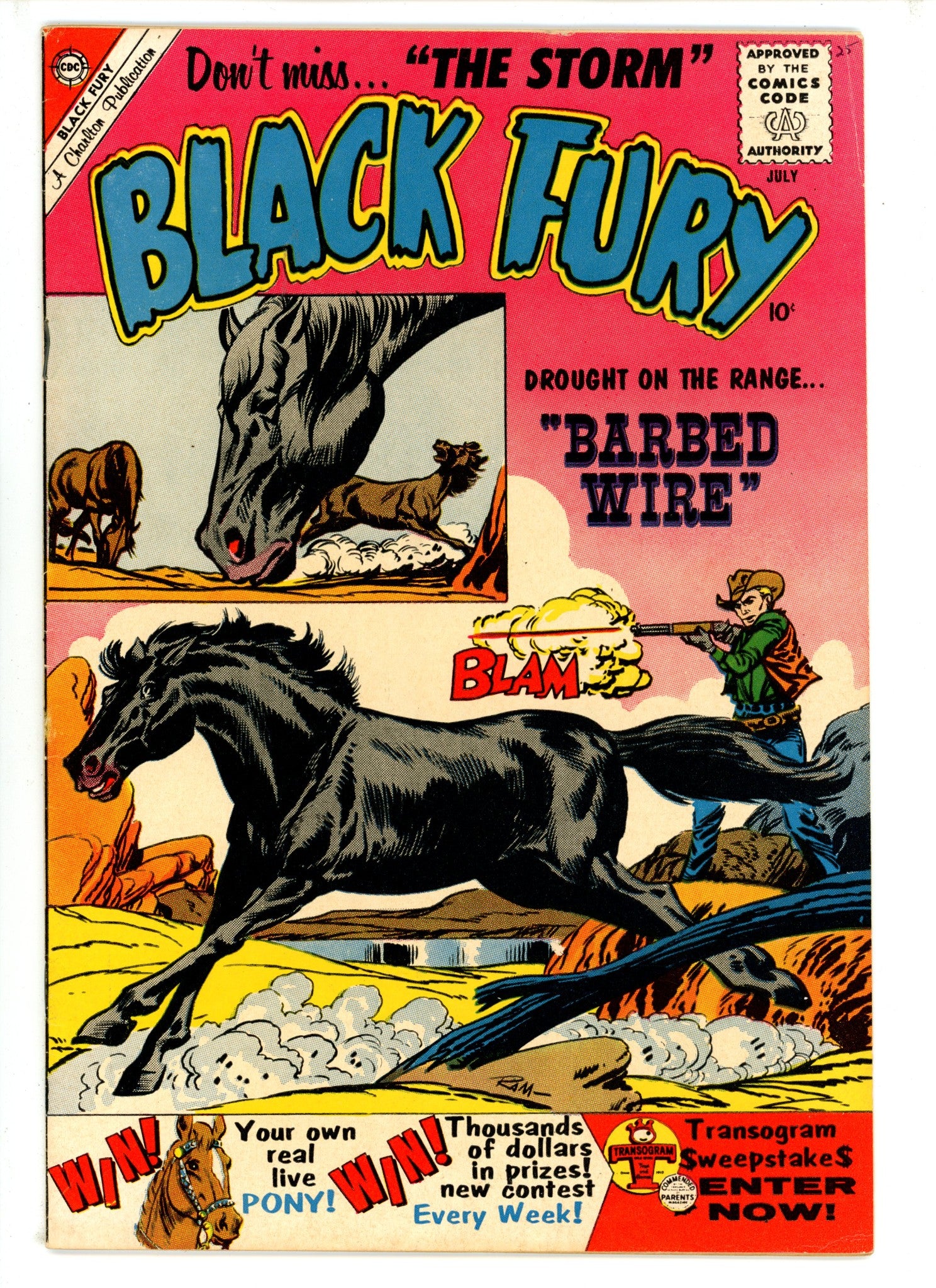 Black Fury 25 VG/FN (1960)