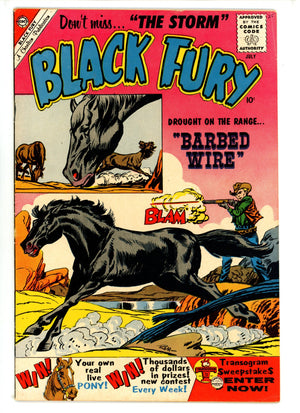 Black Fury 25 VG/FN (1960)