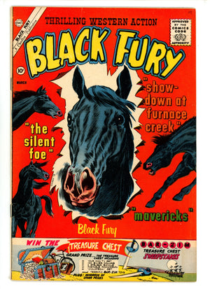 Black Fury 29 VG/FN (1961)