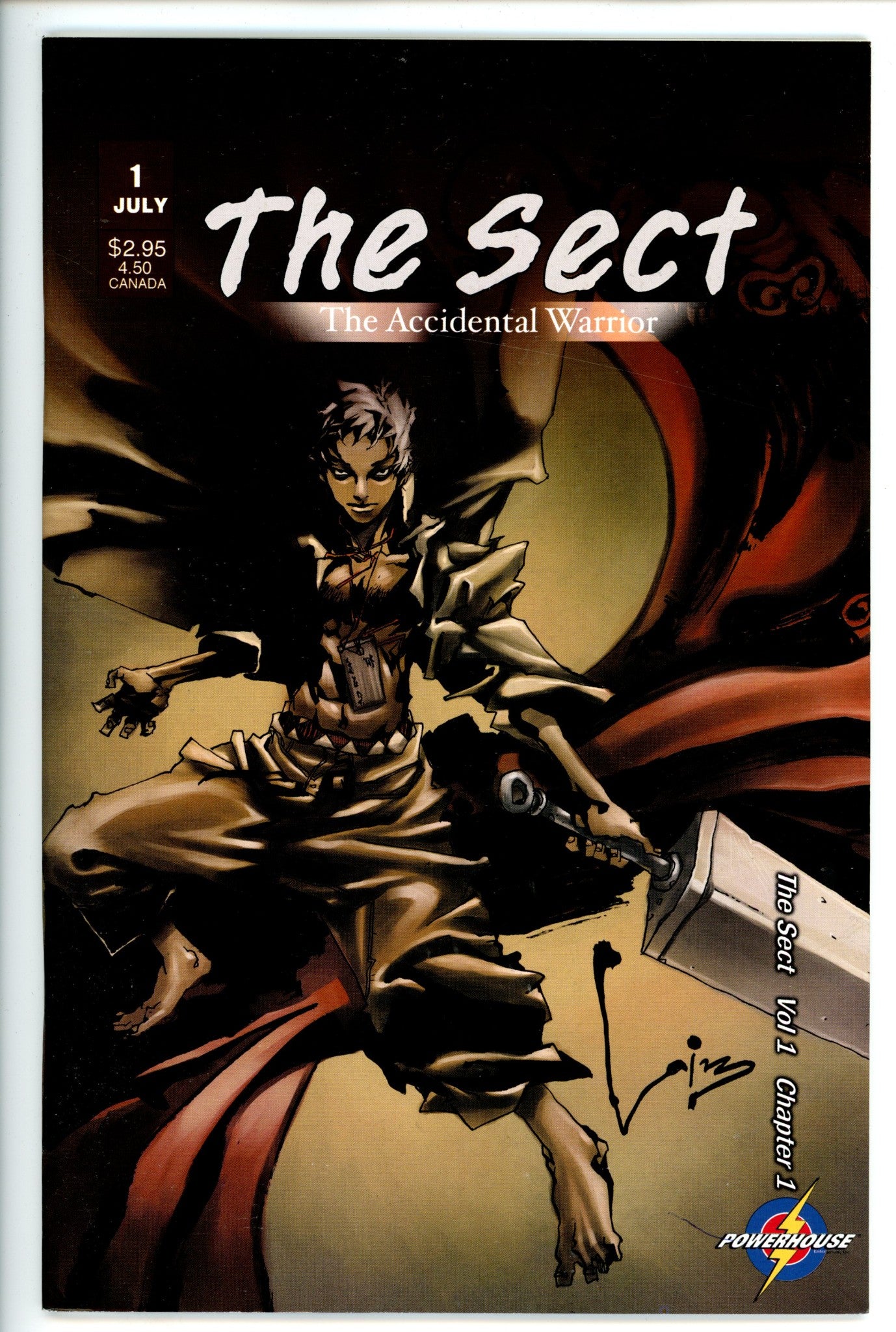 Sect The Accidental Warrior 1