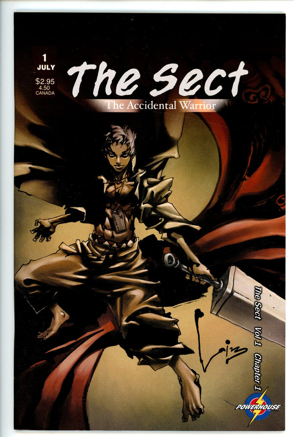Sect The Accidental Warrior 1