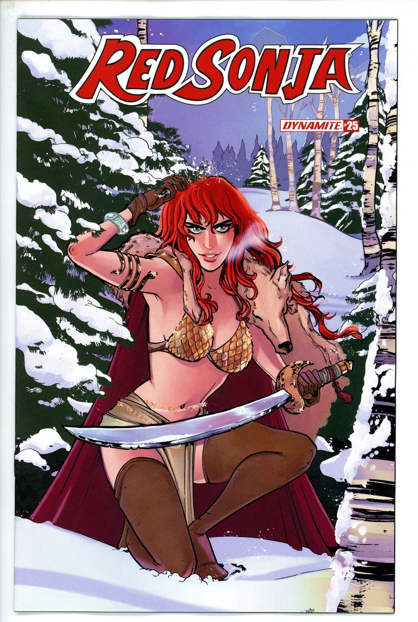Red Sonja Vol 5 25 Anwar Variant-Dynamite-CaptCan Comics Inc