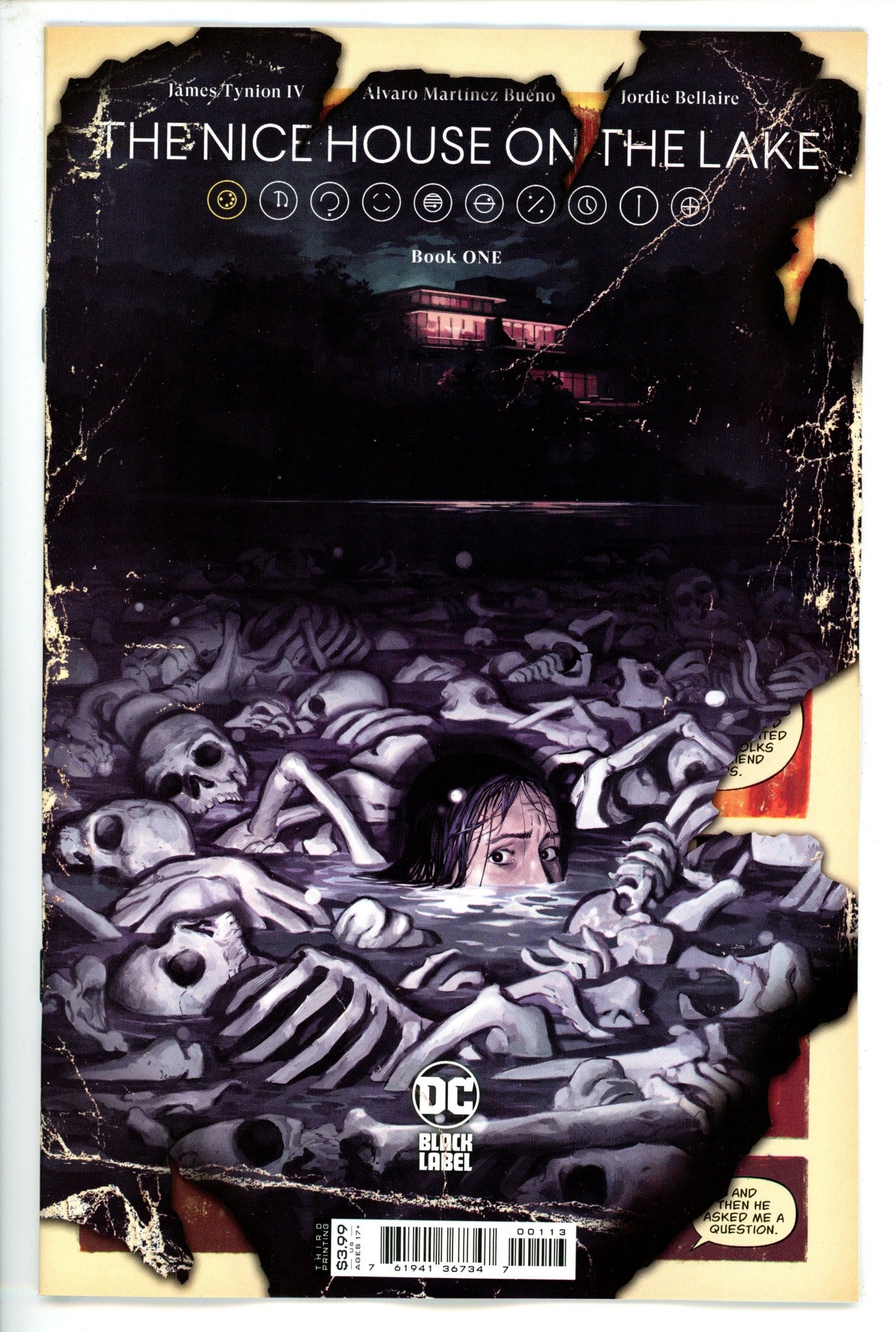 Nice House on the Lake 1 3rd Print (2021)