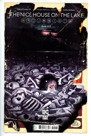 Nice House on the Lake 1 3rd Print (2021)