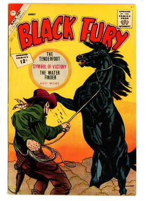 Black Fury 37 FN- (1962)