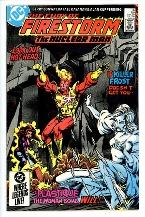 The Fury of Firestorm 20 VF