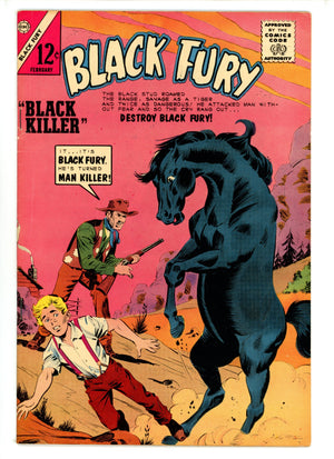 Black Fury 46 FN (1964)