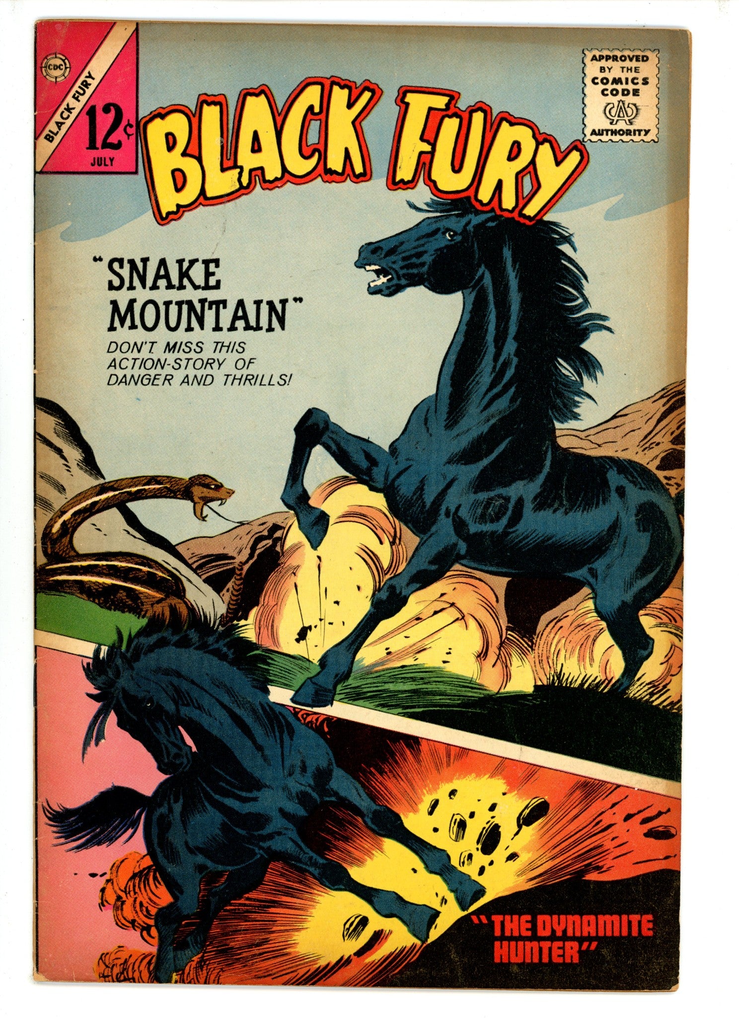 Black Fury 48 VG (1964)