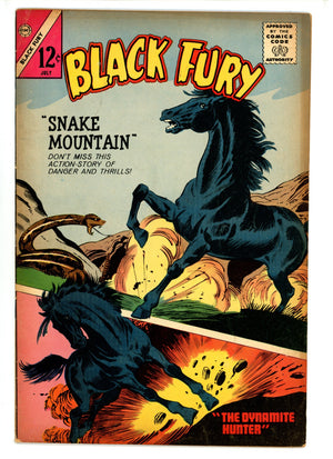 Black Fury 48 VG (1964)
