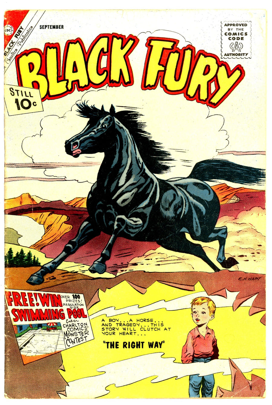 Black Fury 32 VG