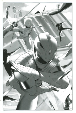 Mighty Morphin Power Rangers / Teenage Mutant Ninja Turtles II 4 Meo Incentive Variant NM+ (2023)