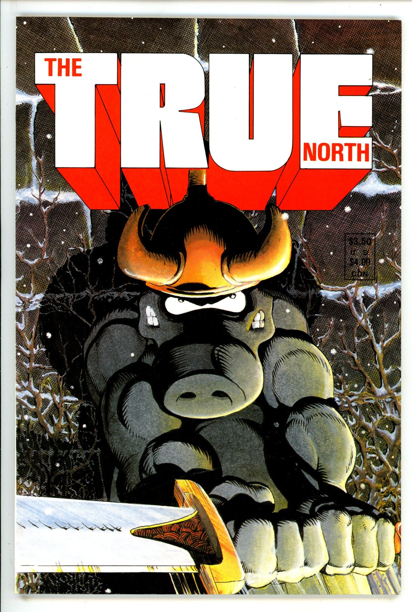 True North [nn]