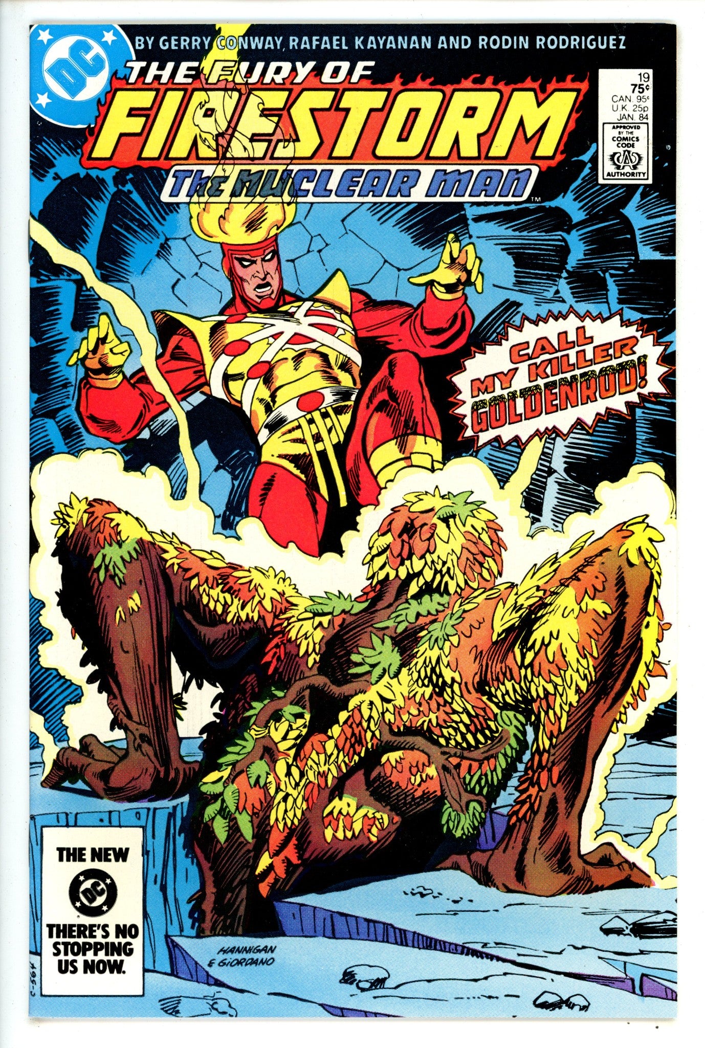 The Fury of Firestorm Vol 2 19