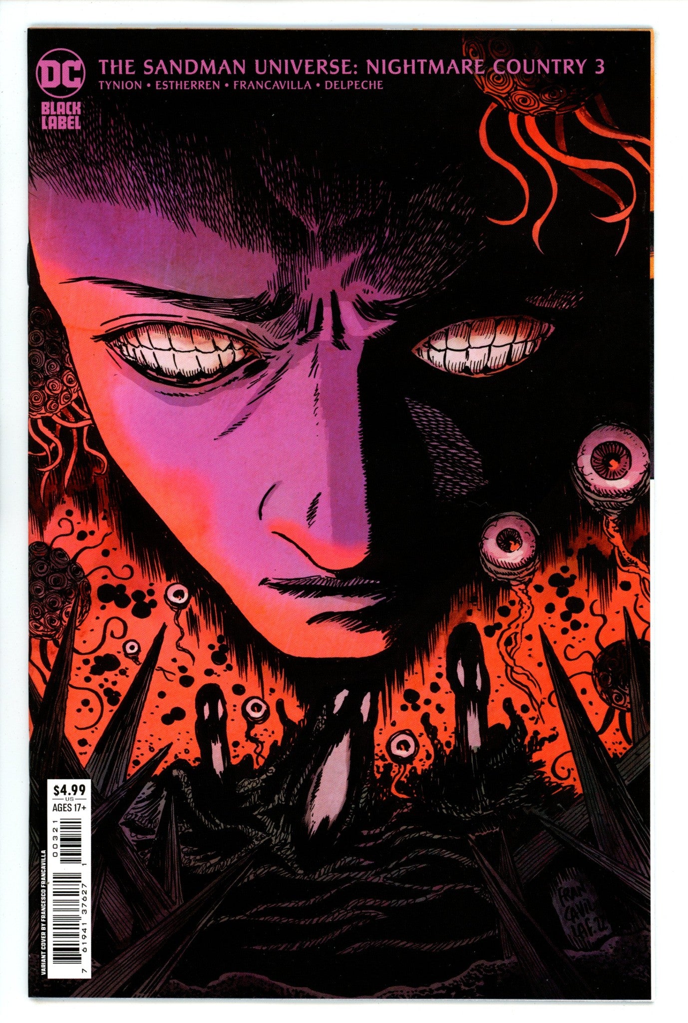 Sandman Universe Nightmare Country 3 Francavilla Variant (2022)