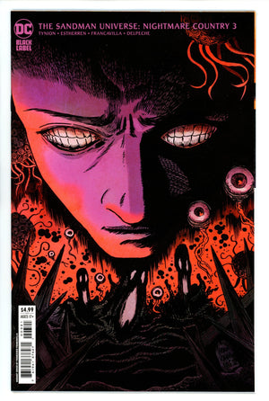 Sandman Universe Nightmare Country 3 Francavilla Variant (2022)