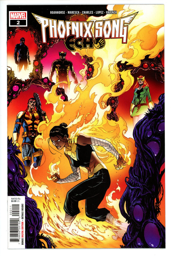 Phoenix Song Echo 2 (2021)