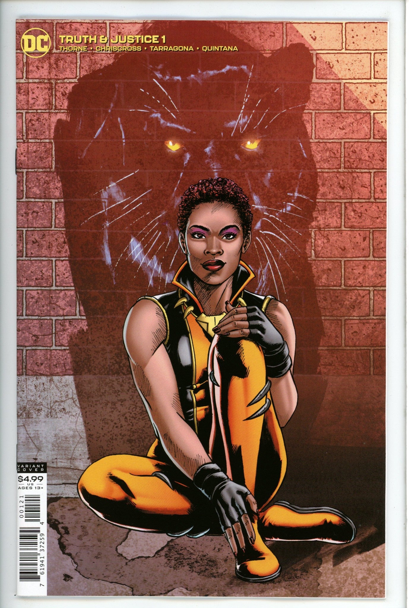 Truth & Justice 1 Variant-DC-CaptCan Comics Inc
