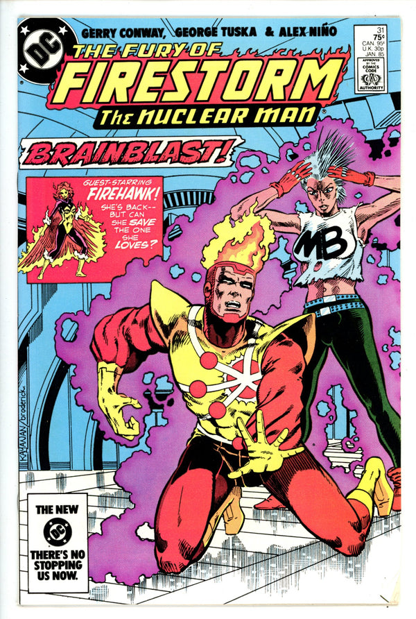 The Fury of Firestorm Vol 2 31