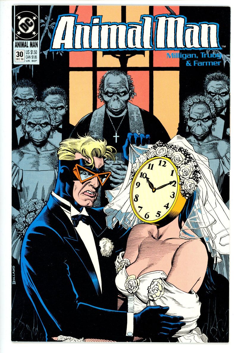 Animal Man Vol 1 30