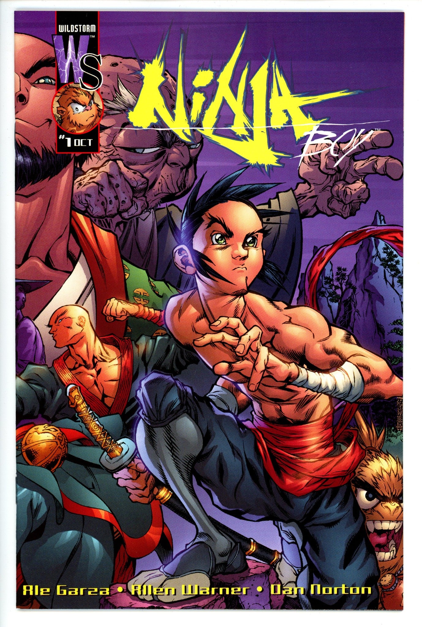 Ninja Boy 1