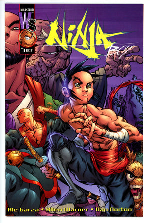Ninja Boy 1