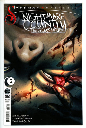 Sandman Universe Nightmare Country The Glass House 3 (2023)