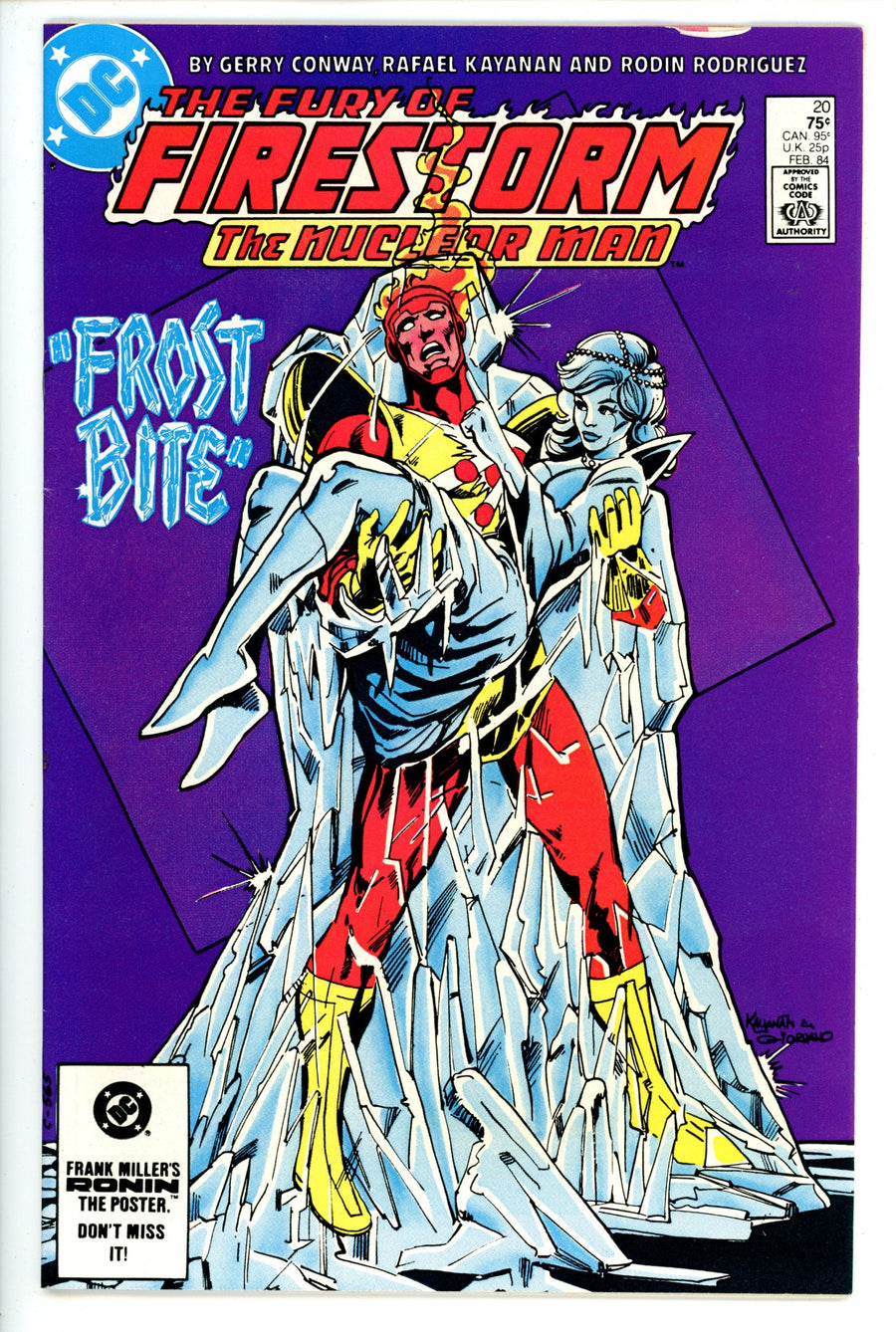 The Fury of Firestorm Vol 2 20