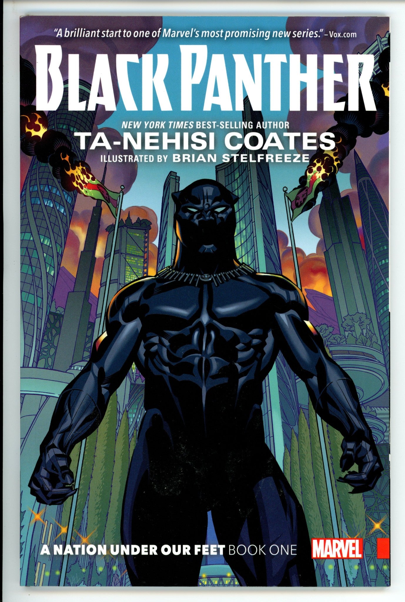 Black Panther Vol 1 A Nation Under Our Feet TPB