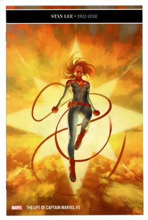 The Life of Captain Marvel 5