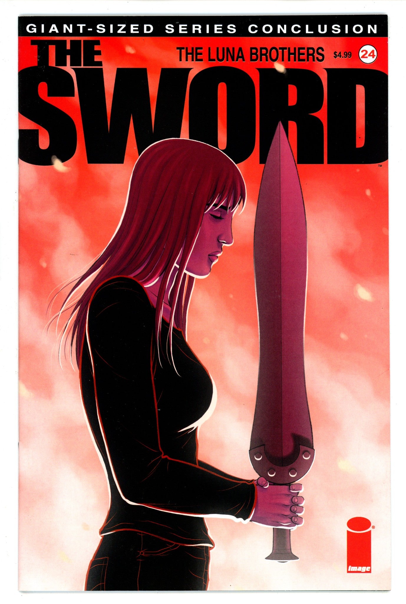 The Sword 24