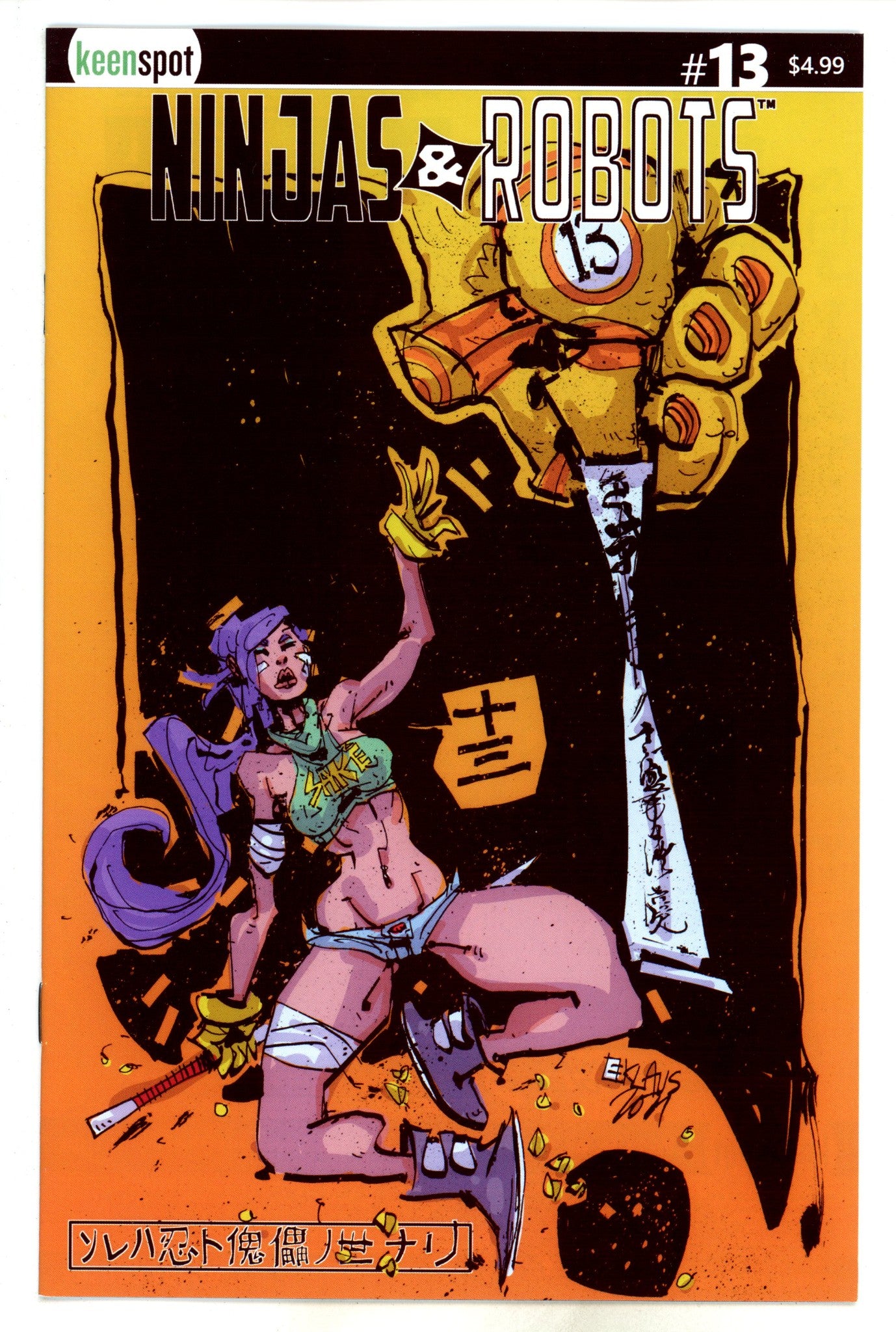 Ninjas & Robots 13 (2022)