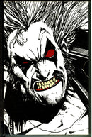 Lobo Slipcase TPB Set