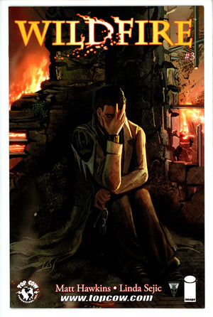 Wildfire  3