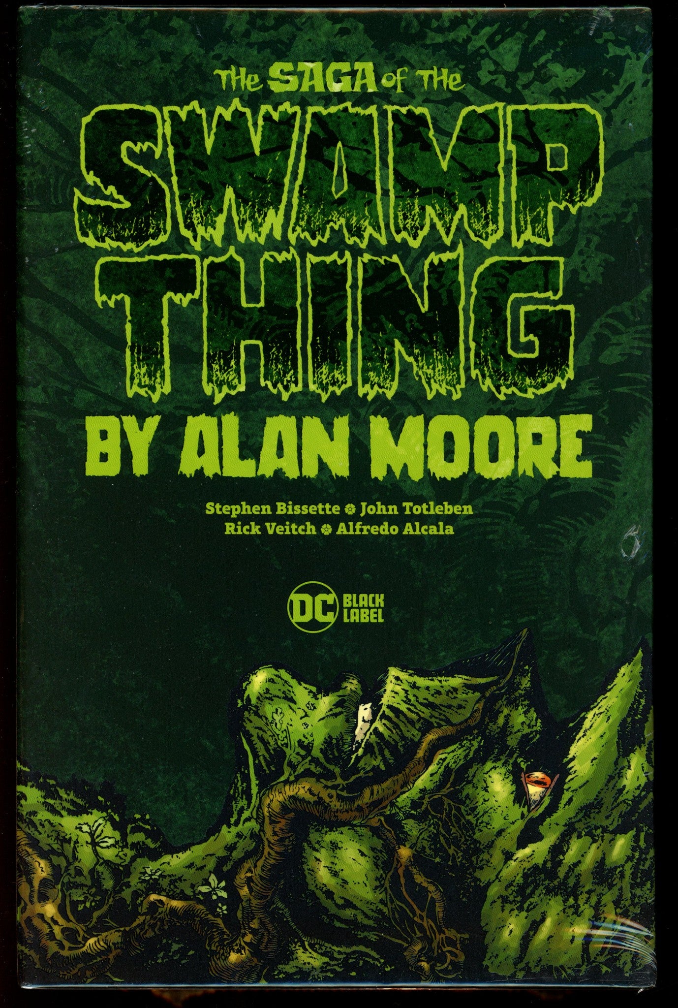 Saga of the Swamp Thing Box Set TPB