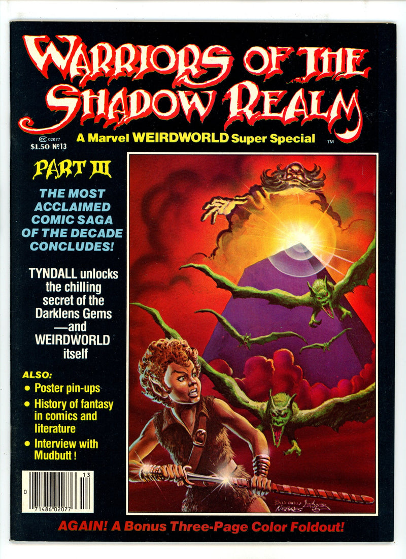 Warriors Of The Shadow Realm 13