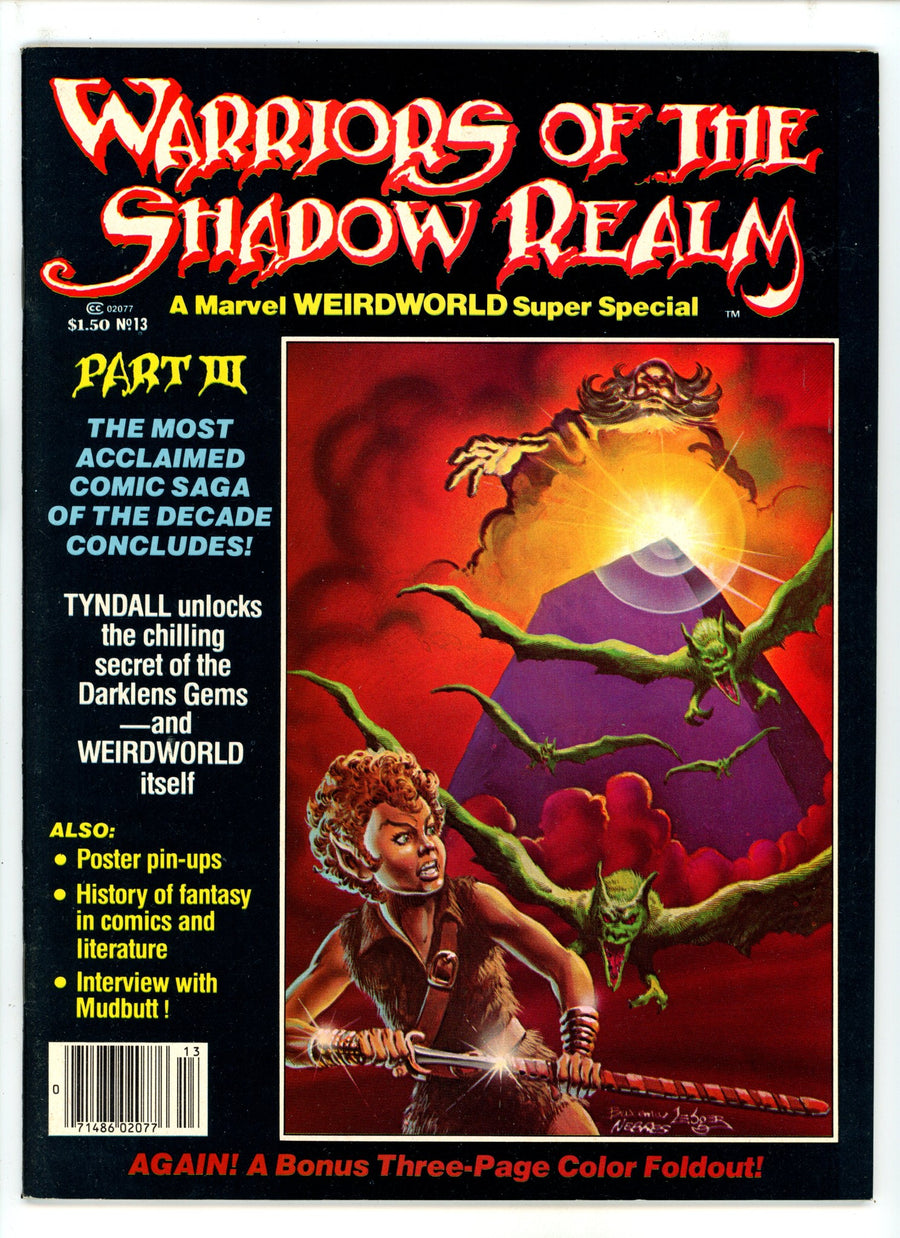 Warriors Of The Shadow Realm 13