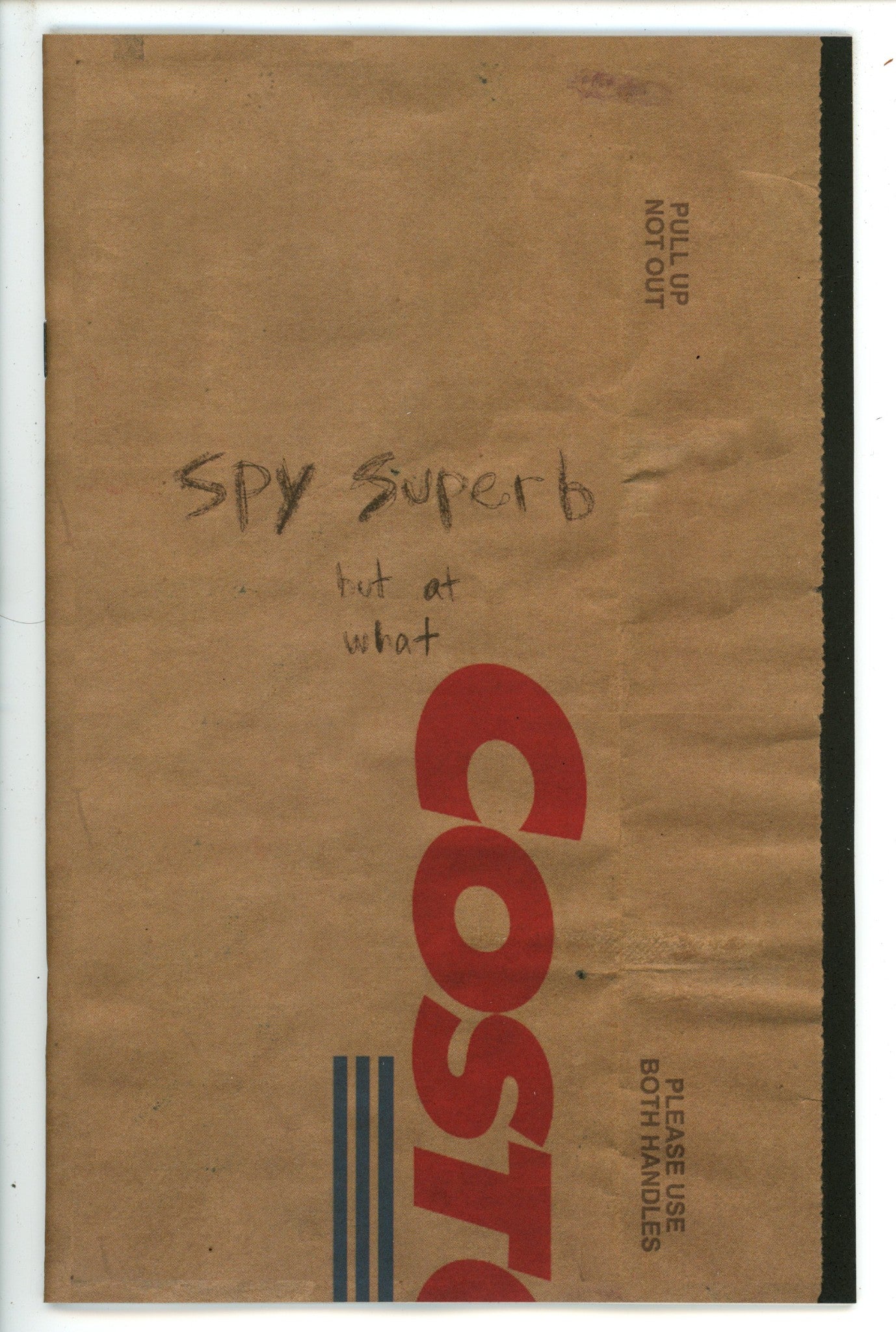 Spy Superb 3 (2023)