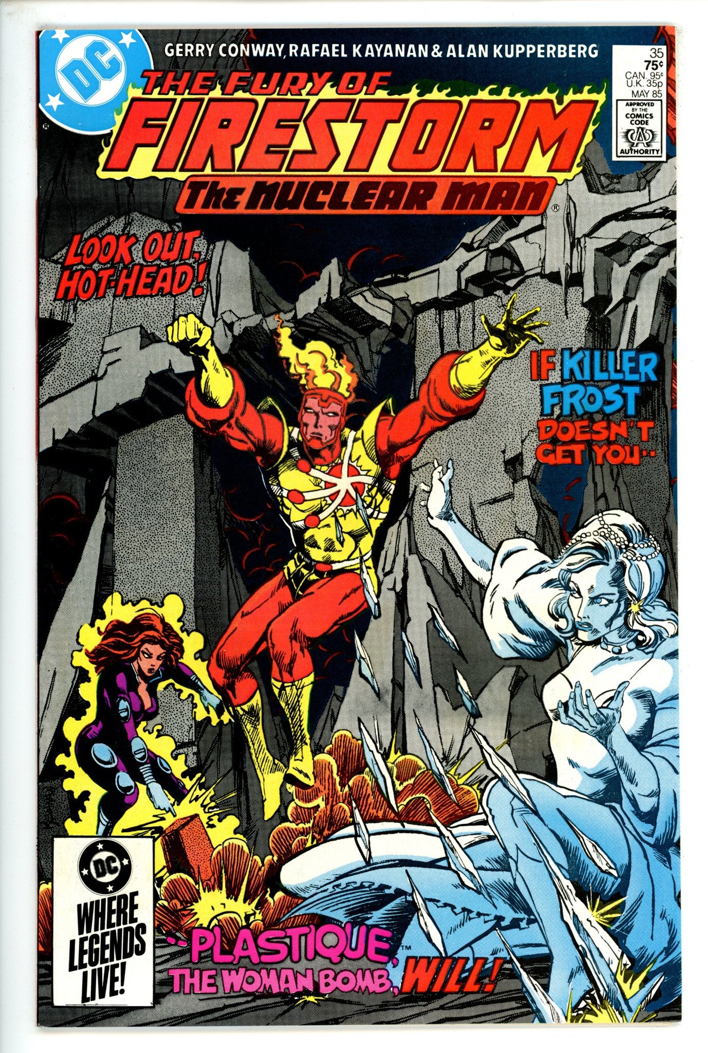 The Fury of Firestorm Vol 2 35  NM-