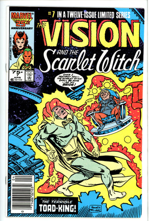 The Vision and the Scarlet Witch Vol 2 7 Newsstand
