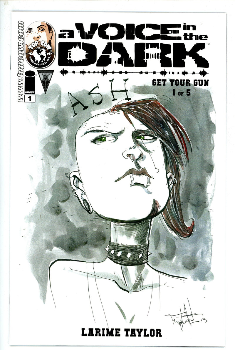 A Voice in the Dark: Get Your Gun 1 Templesmith Variant-Image-CaptCan Comics Inc