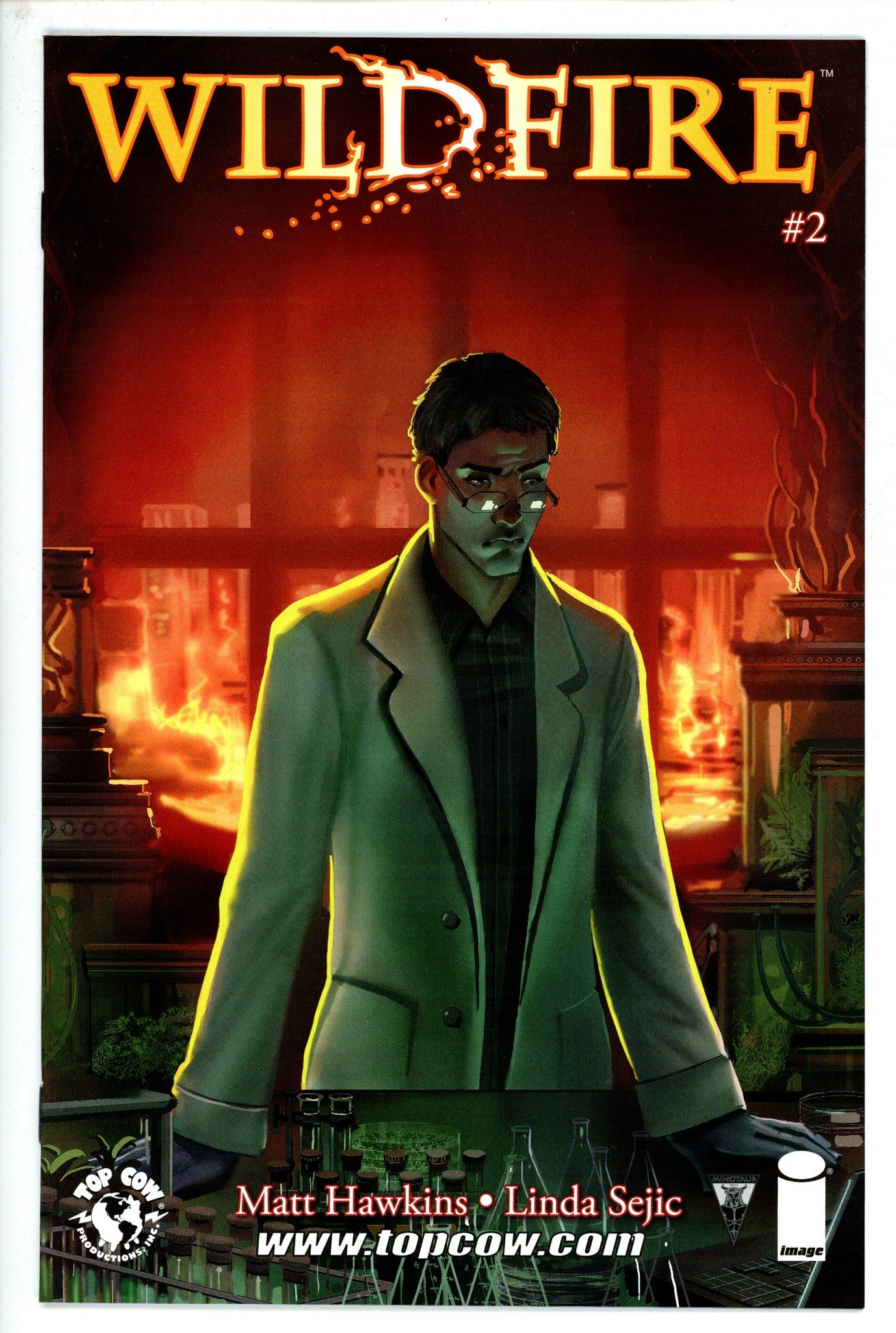 Wildfire 2-Image-CaptCan Comics Inc