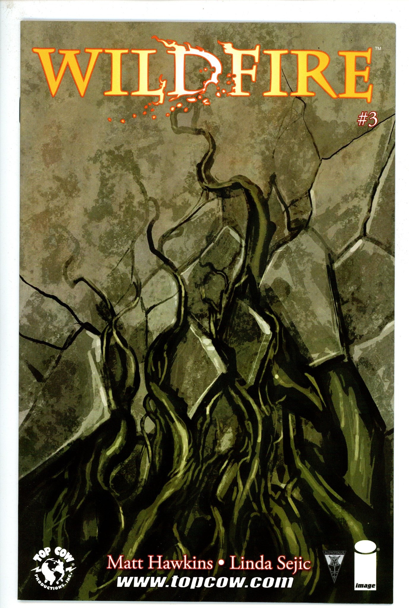 Wildfire 3-Image-CaptCan Comics Inc