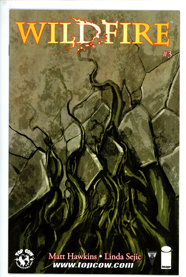 Wildfire 3